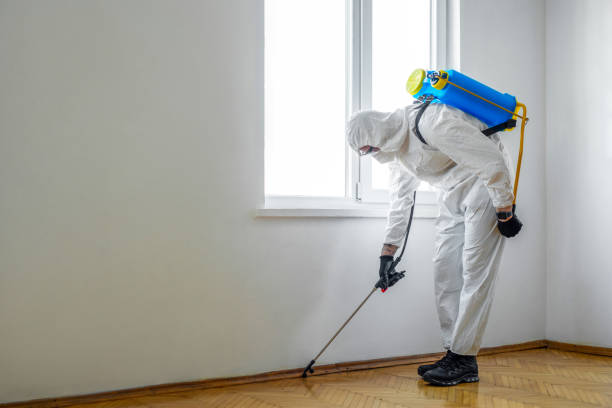 Reliable Fort Polk North, LA Pest Control Solutions