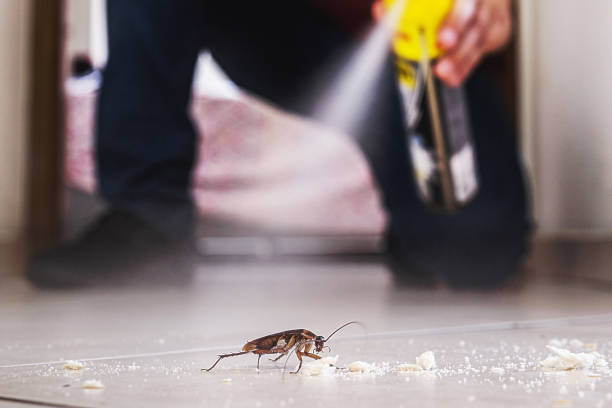 Best Affordable Pest Control Services  in Fort Polk North, LA
